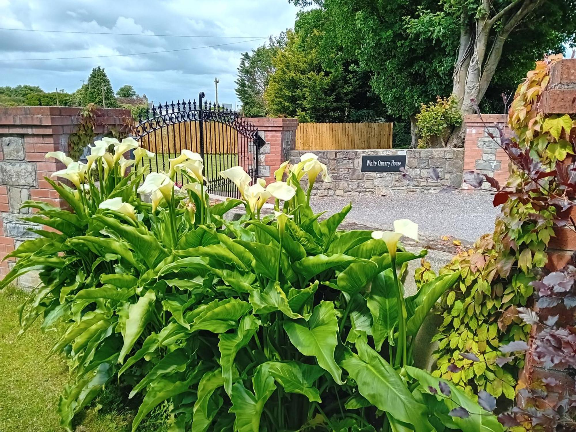 White Quarry House Apartment Navan Luaran gambar