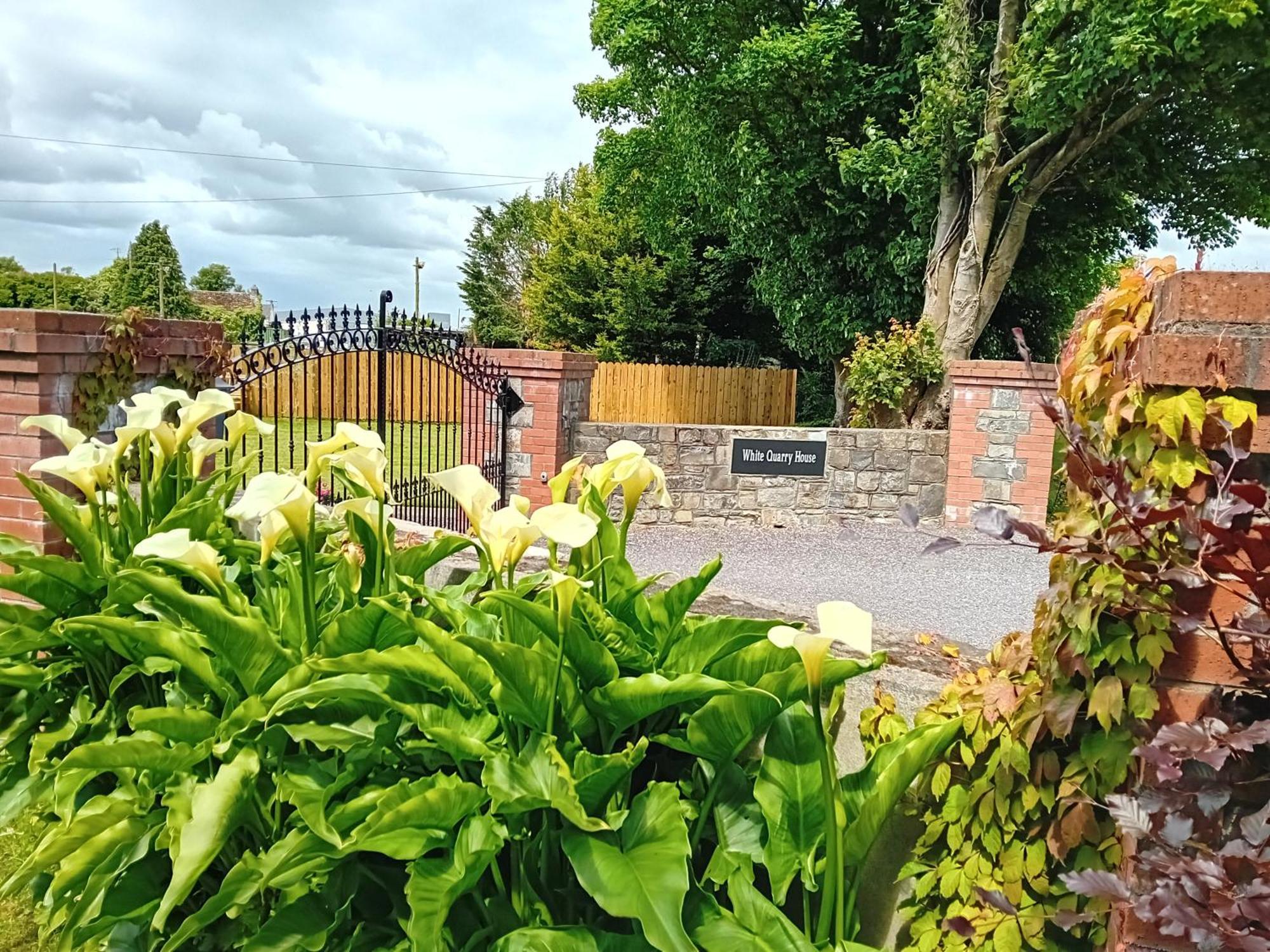 White Quarry House Apartment Navan Luaran gambar